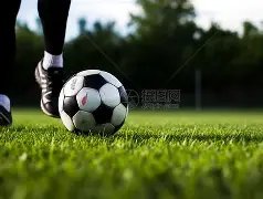 好评中国,揭秘数字经,济生态中的,万博,ManBetX,万博体育官网,万博官网,万博体育下载